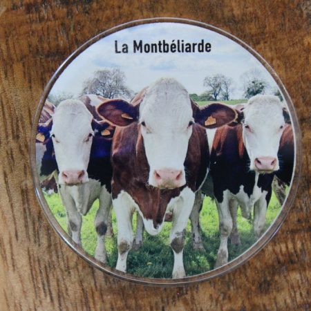 Magnet plexi ronde - La Montbéliarde