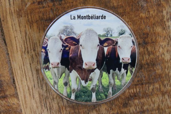 Magnet plexi ronde - La Montbéliarde